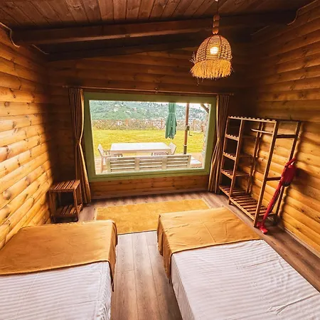 Feriehus Homywood *